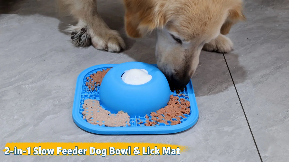 Slow Feeder Dog Bowl and Lick Mat with Rolling Ball