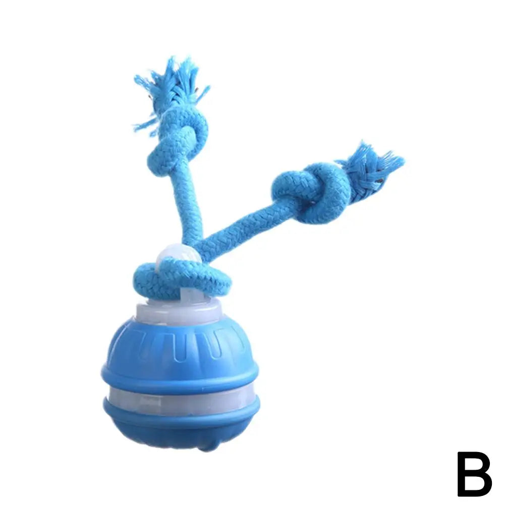 Interactive Motion Activated Dog Ball Toy USB Rechargeable