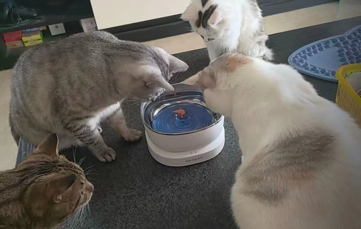 Magnetic Drive Wireless Cat Water Fountain Long Battery Life