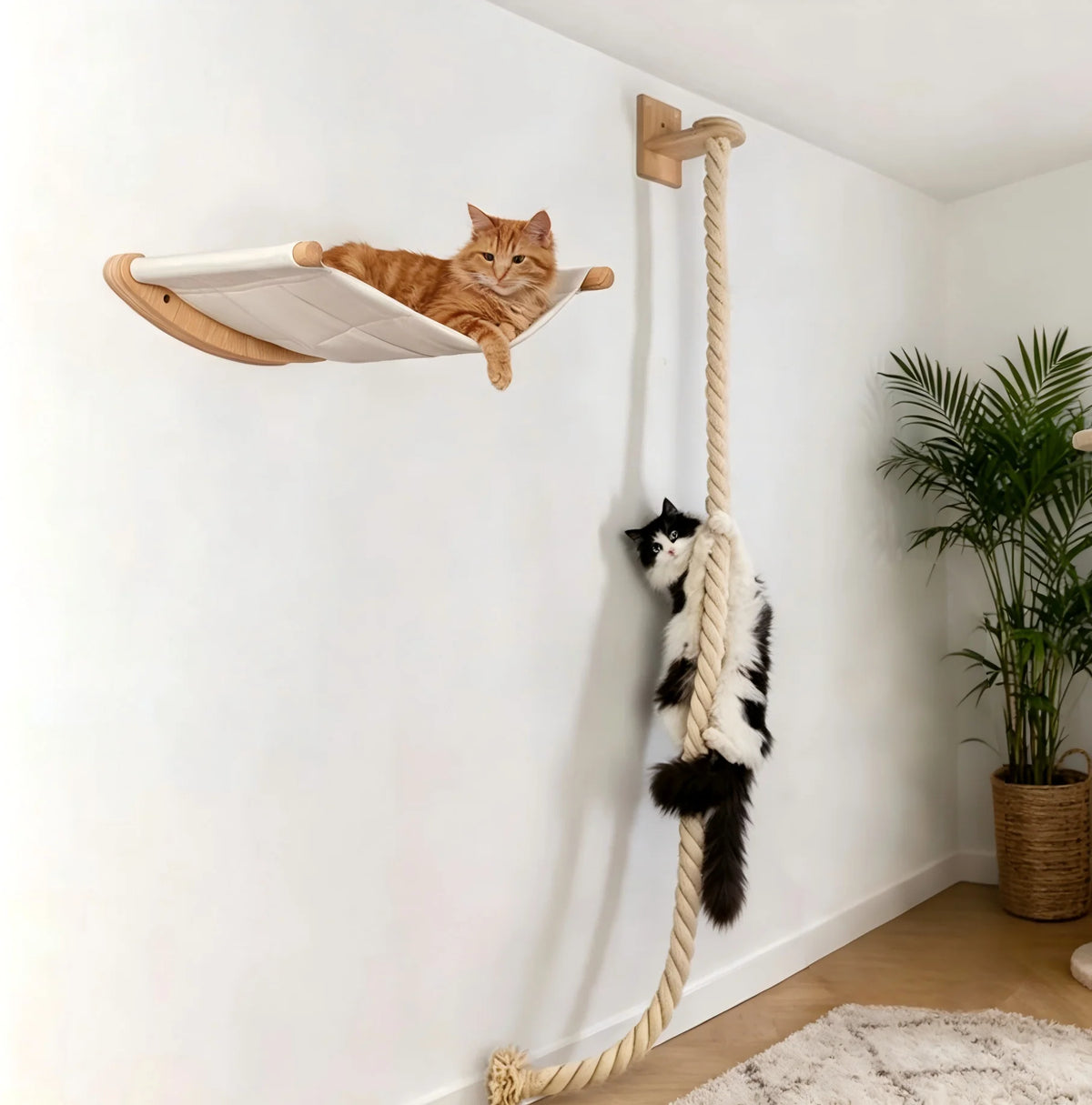 CWV Wall Mounted Cat Hammock With Wooden Sisal Scratching Shelf