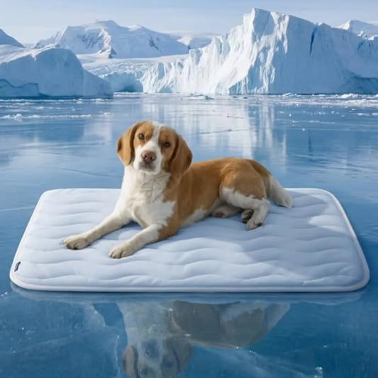 Bedsure Cooling Mat for Medium to Extra Large Dogs Washable Breathable QMax Greater than 0.4 Cool Fiber Mat for Pet Comfort