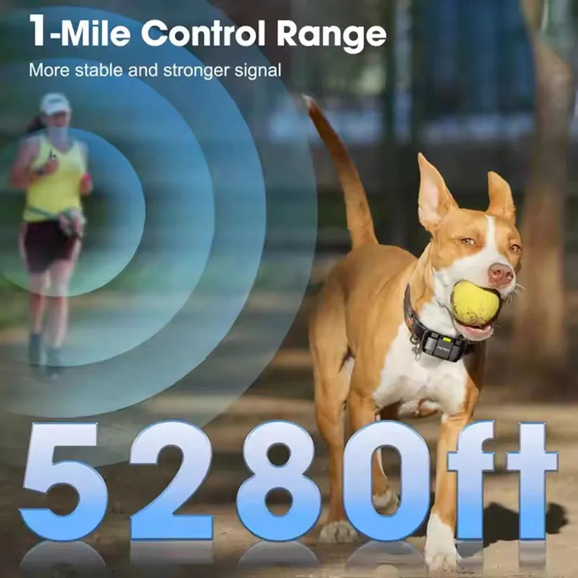 JANPET Waterproof Rechargeable Remote Dog Training Collar