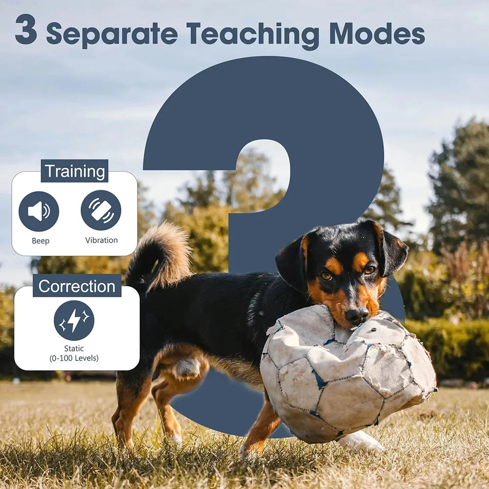 JANPET Waterproof Rechargeable Remote Dog Training Collar