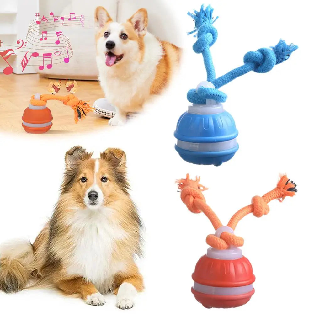 Interactive Motion Activated Dog Ball Toy USB Rechargeable