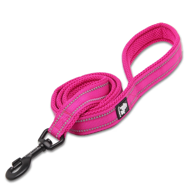 Winhyepet Padded Reflective Nylon Dog Leash for Training and Walking