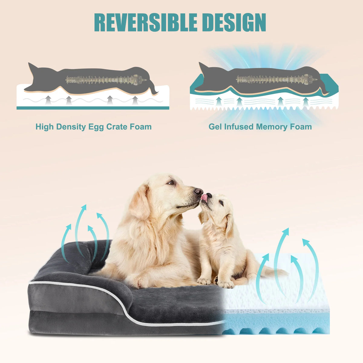 MCQ Orthopedic Memory Foam Dog Bed With Machine Washable Cover
