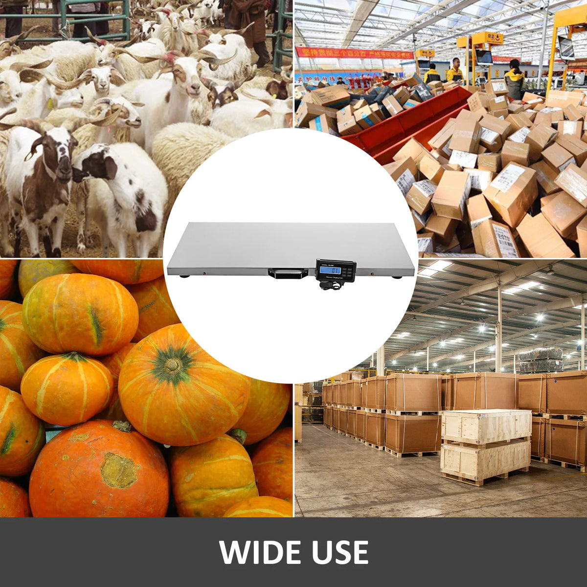 Digital Livestock And Pet Scale With Stainless Steel Platform