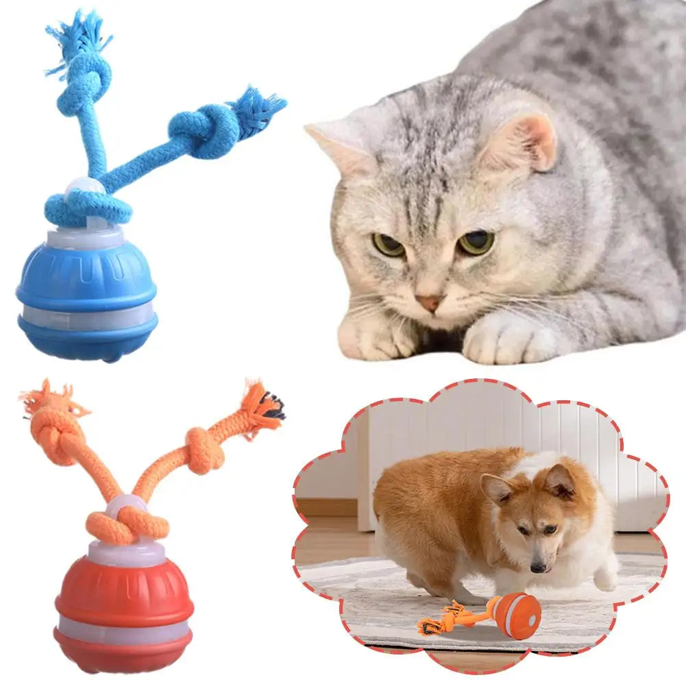 Interactive Motion Activated Dog Ball Toy USB Rechargeable