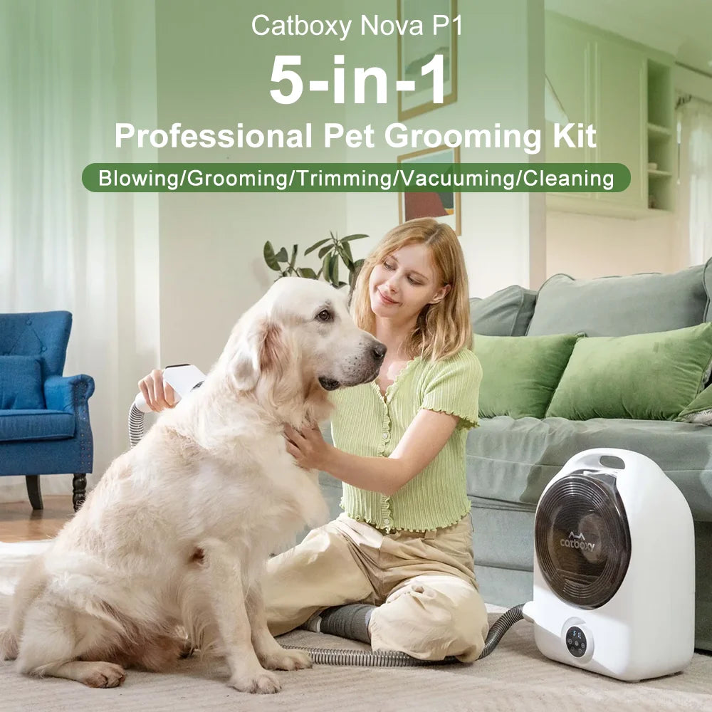 Professional Cat And Dog Grooming Vacuum With Blow And Suction