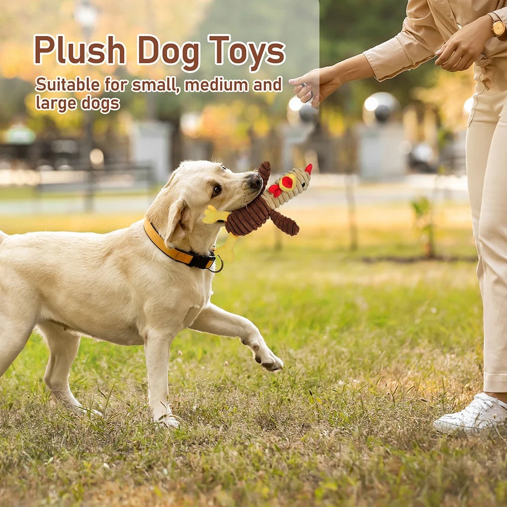 Plush Squeaky Dog Toys Assortment Value Pack For Pets