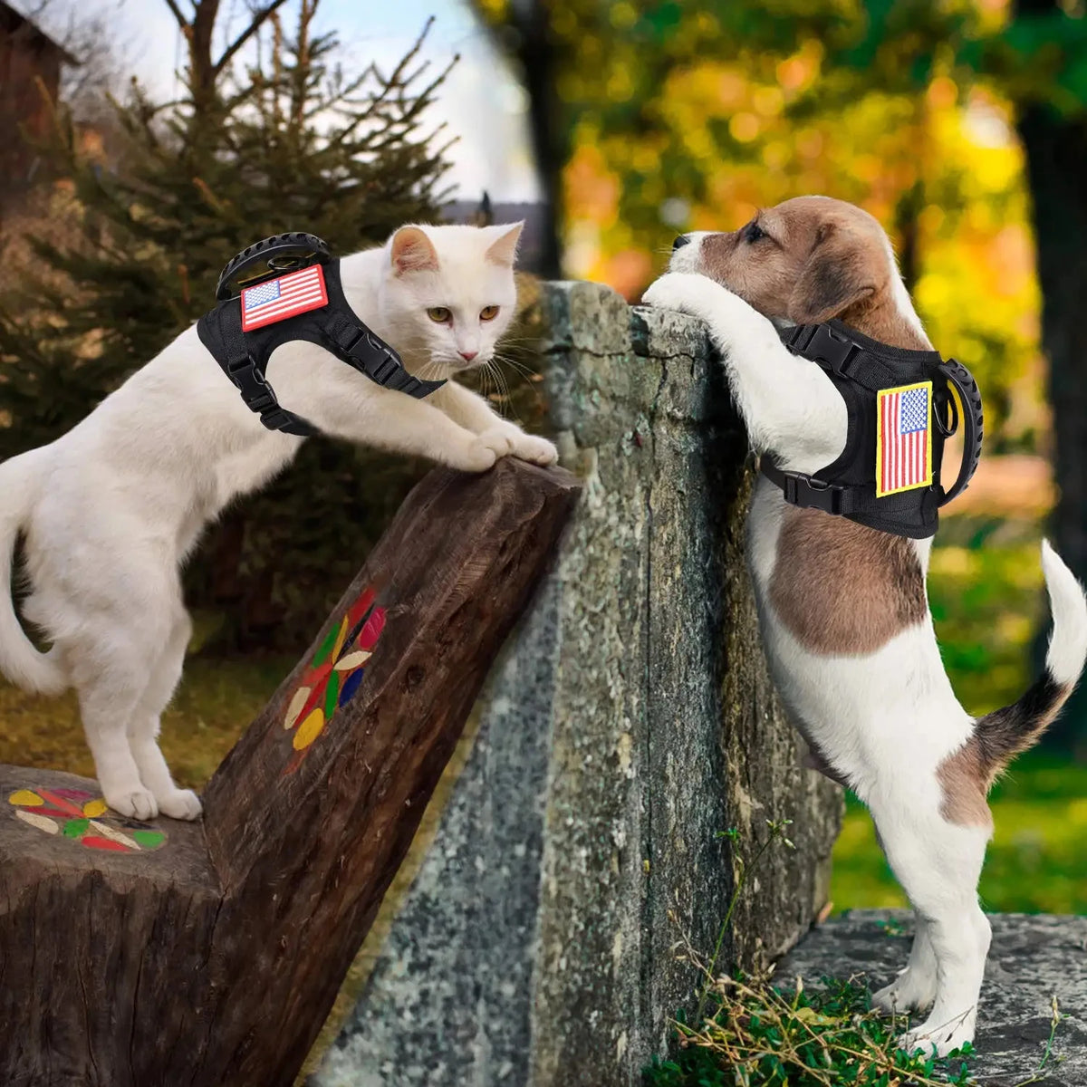 Adjustable Tactical Harness And Leash Set For Small Dogs