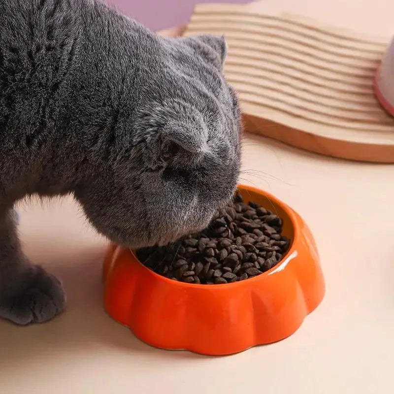 Fruit Shaped Slow Feeder Pet Bowl for Cats and Dogs