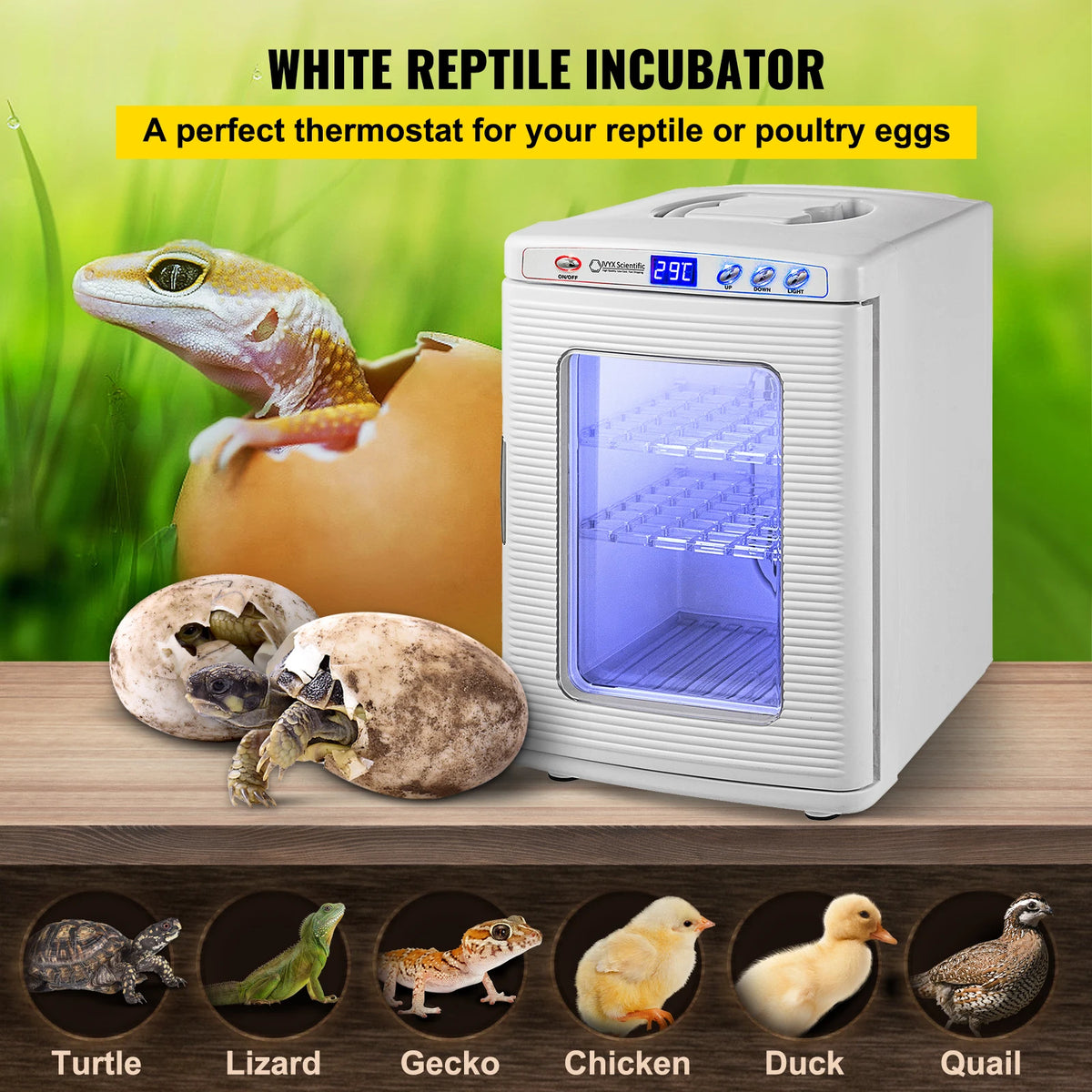 Succebuy Automatic Reptile Egg Incubator For Snakes And Turtles
