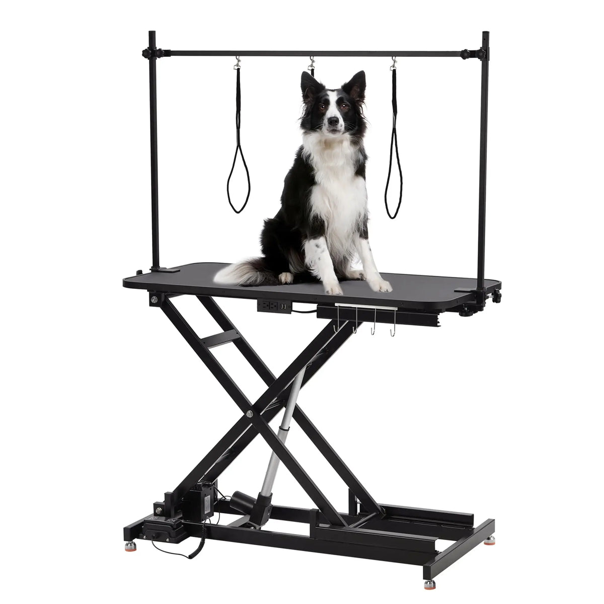 Electric Height Adjustable Dog Grooming Table With Arm And Tool Organizer