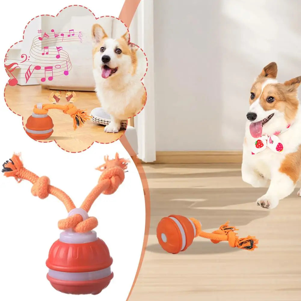 Interactive Motion Activated Dog Ball Toy USB Rechargeable