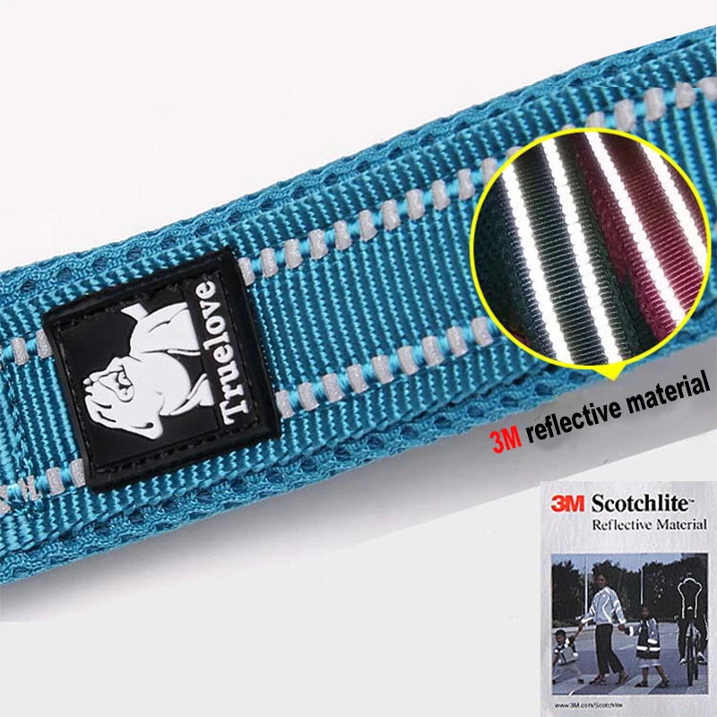 Winhyepet Padded Reflective Nylon Dog Leash for Training and Walking