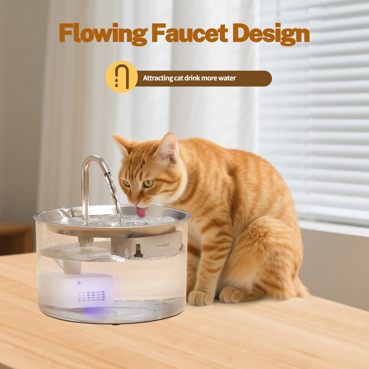 Rechargeable Ultra Quiet Pet Water Fountain With Filter System