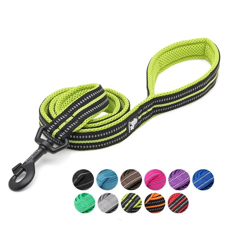 Winhyepet Padded Reflective Nylon Dog Leash for Training and Walking