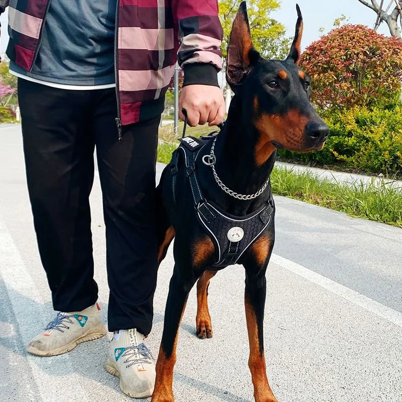 Premium Reflective Nylon Dog Harness With Collar Leash Set