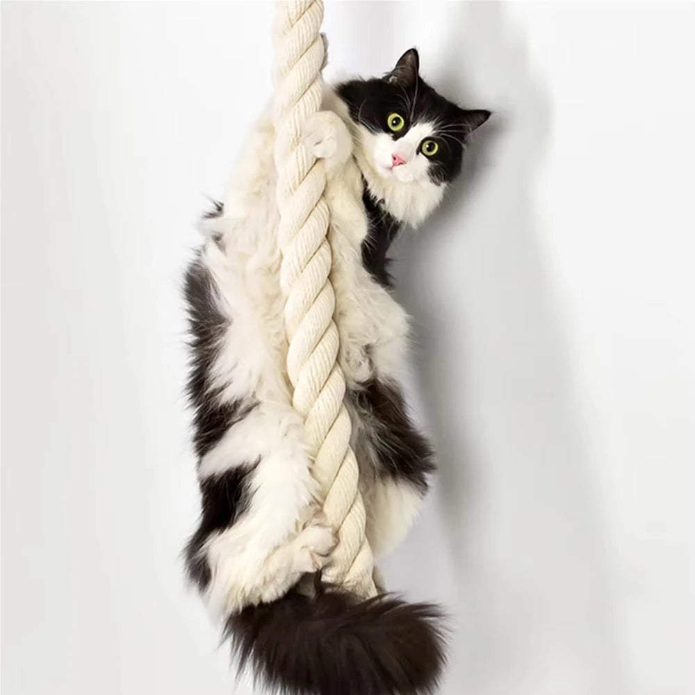 Wall Mounted Cat Climbing Shelf With Sisal Scratching Post