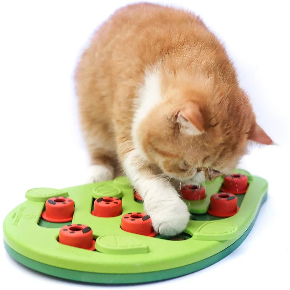Interactive Cat Puzzle Toy Slow Feeder And Scratch Board for Indoor Cats