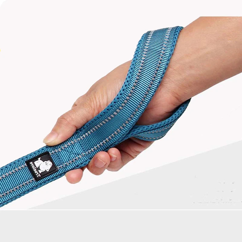 Winhyepet Padded Reflective Nylon Dog Leash for Training and Walking