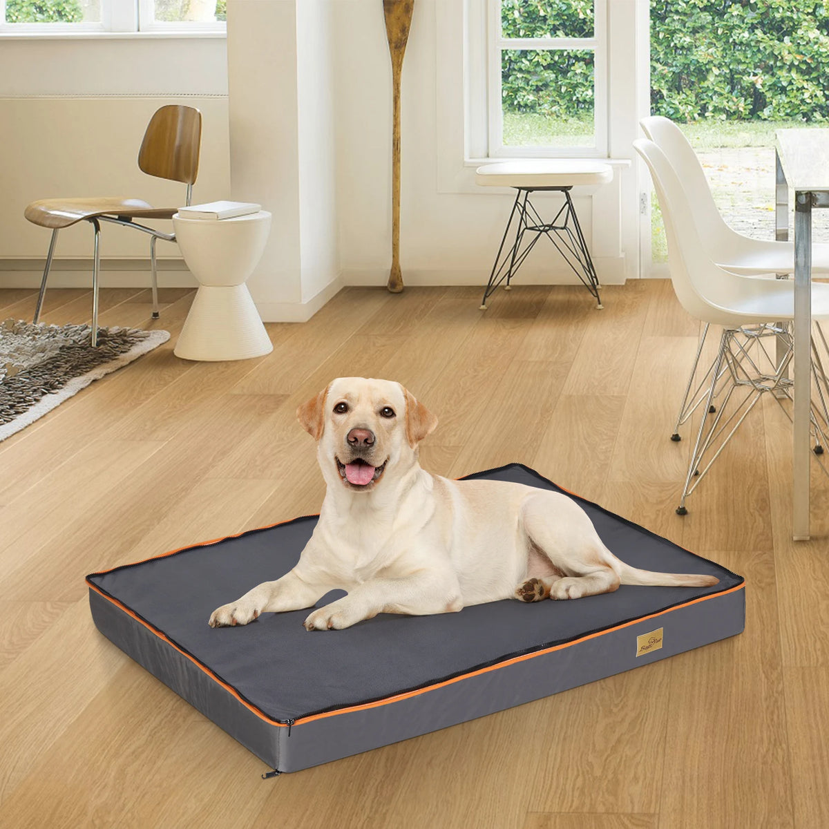 BINGOPAW Orthopedic Padded Dog Bed With Washable Cover Foam Cushion