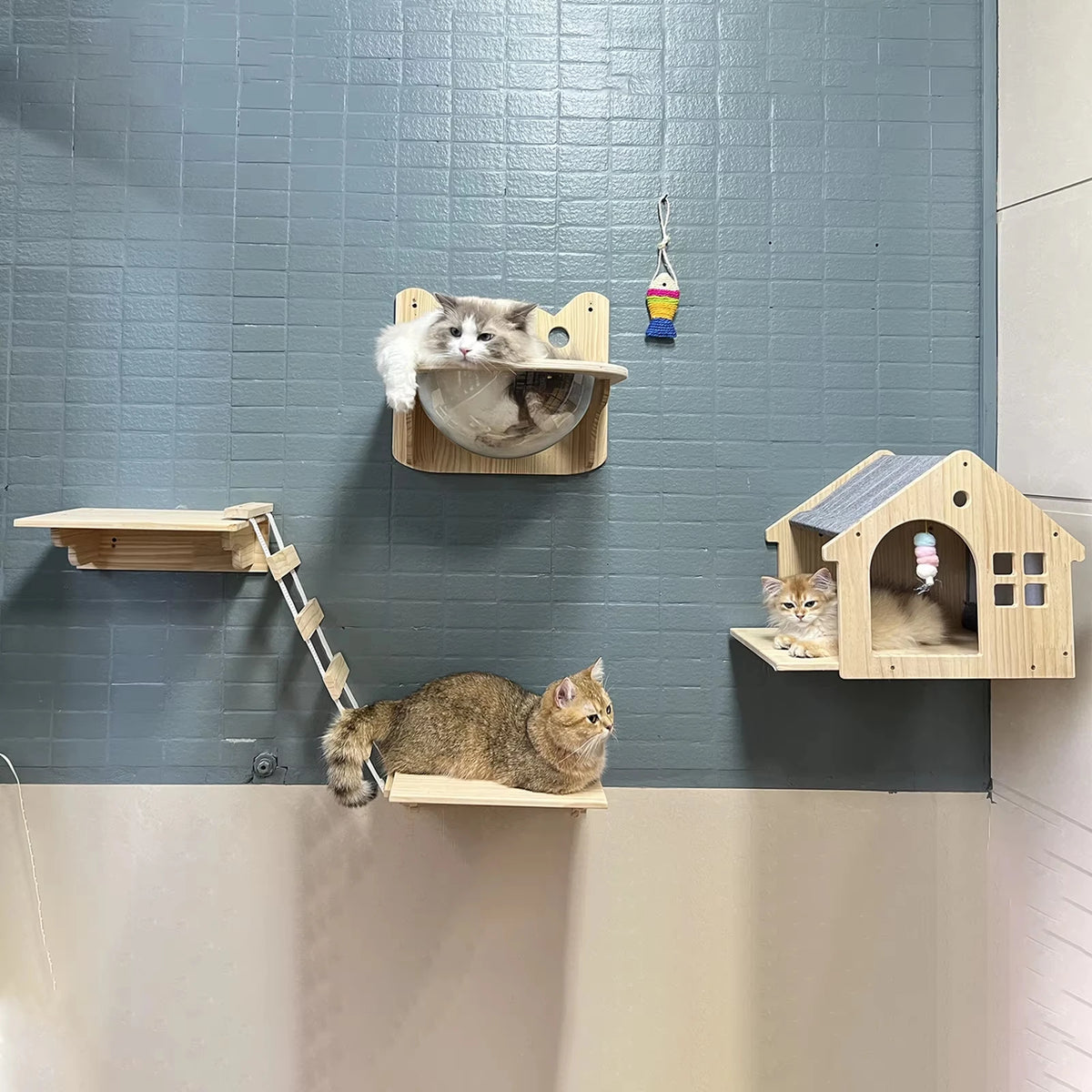 Wall Mounted Wooden Cat Villa Climbing Shelf For Indoor Pets