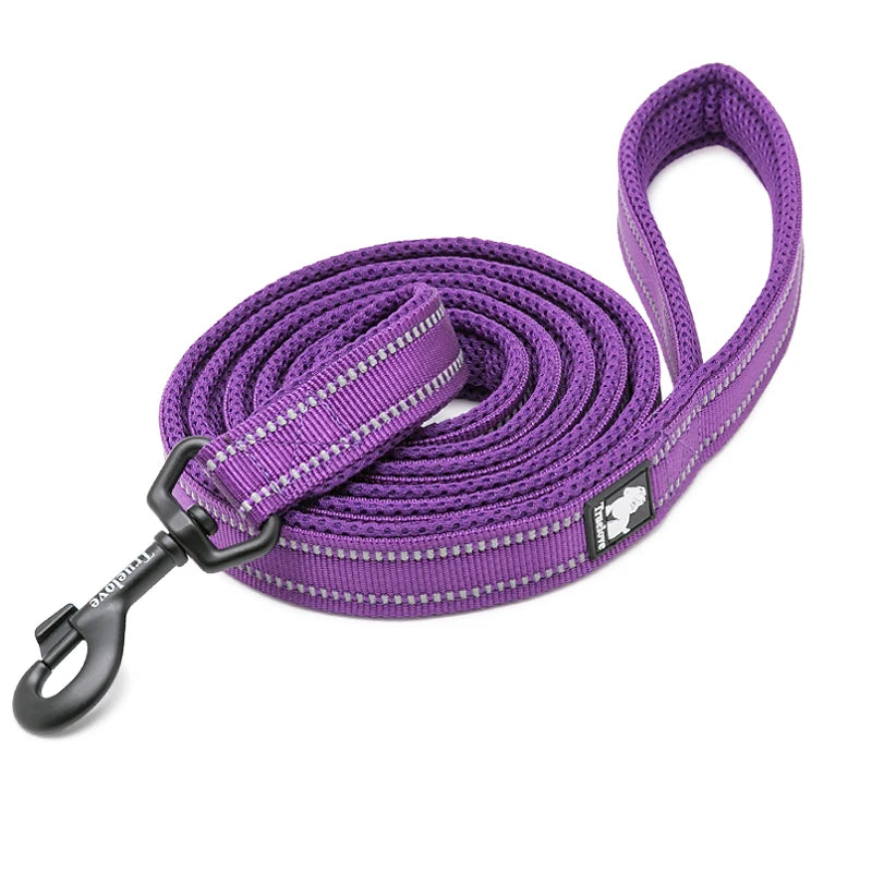Winhyepet Padded Reflective Nylon Dog Leash for Training and Walking