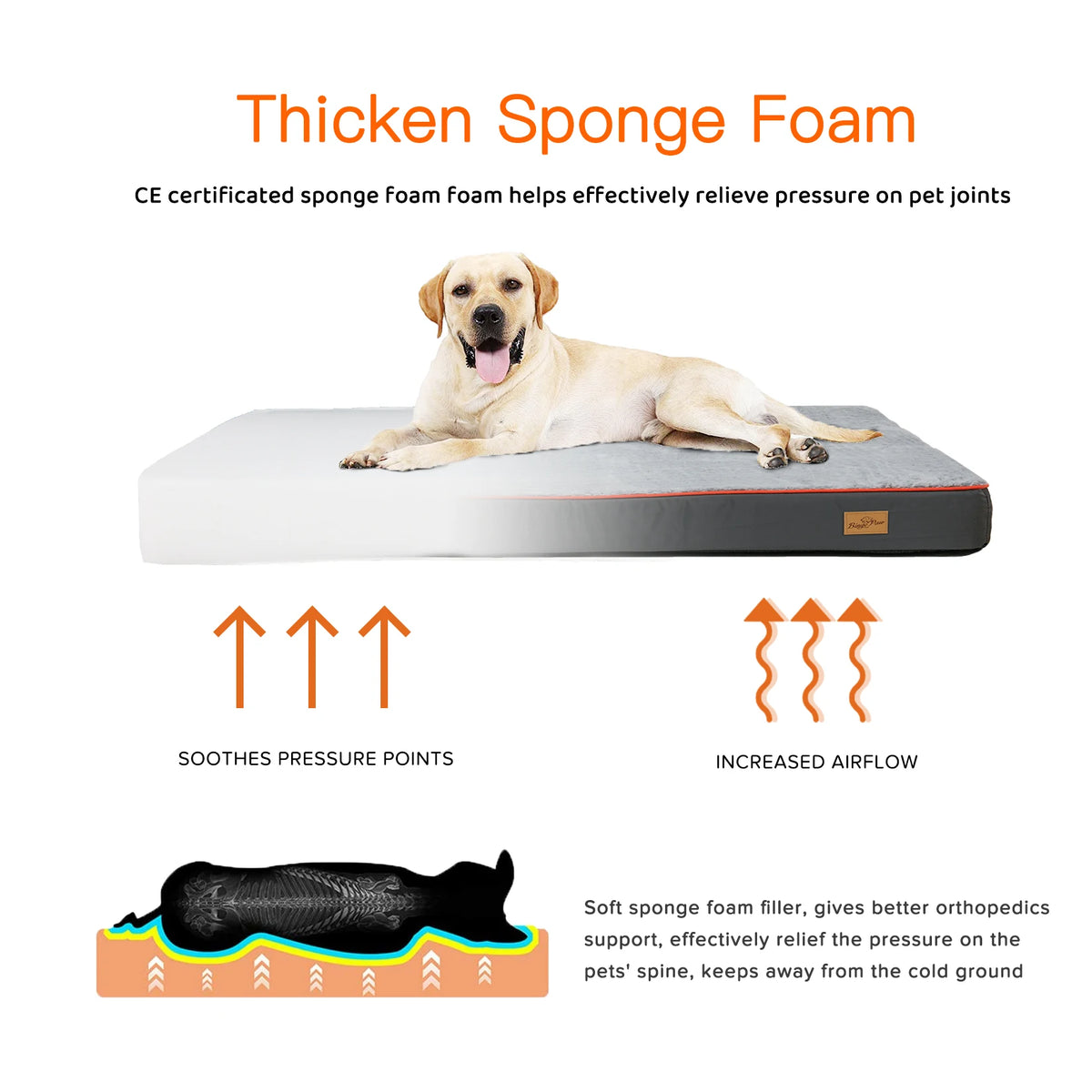 BINGOPAW Orthopedic Padded Dog Bed With Washable Cover Foam Cushion