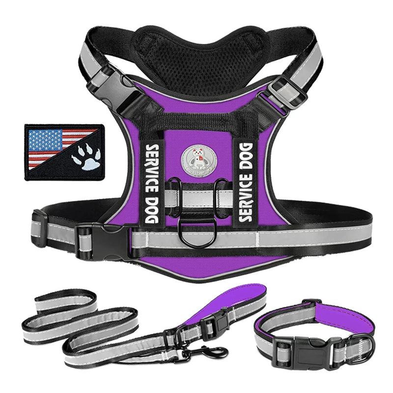 Premium Reflective Nylon Dog Harness With Collar Leash Set