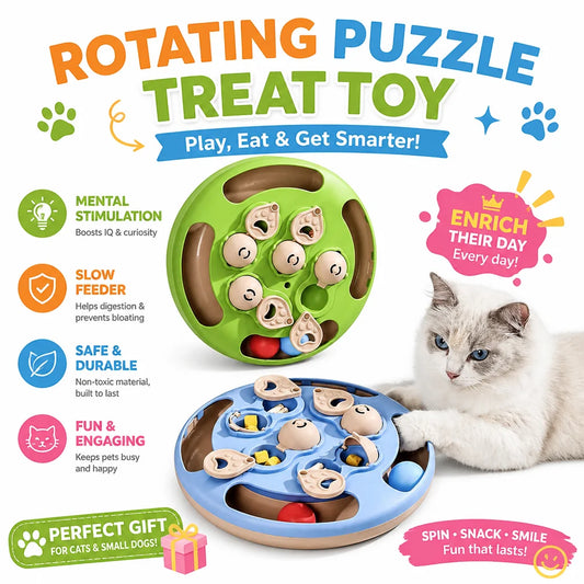 Interactive Cat Puzzle Toy Slow Feeder Treat Dispenser