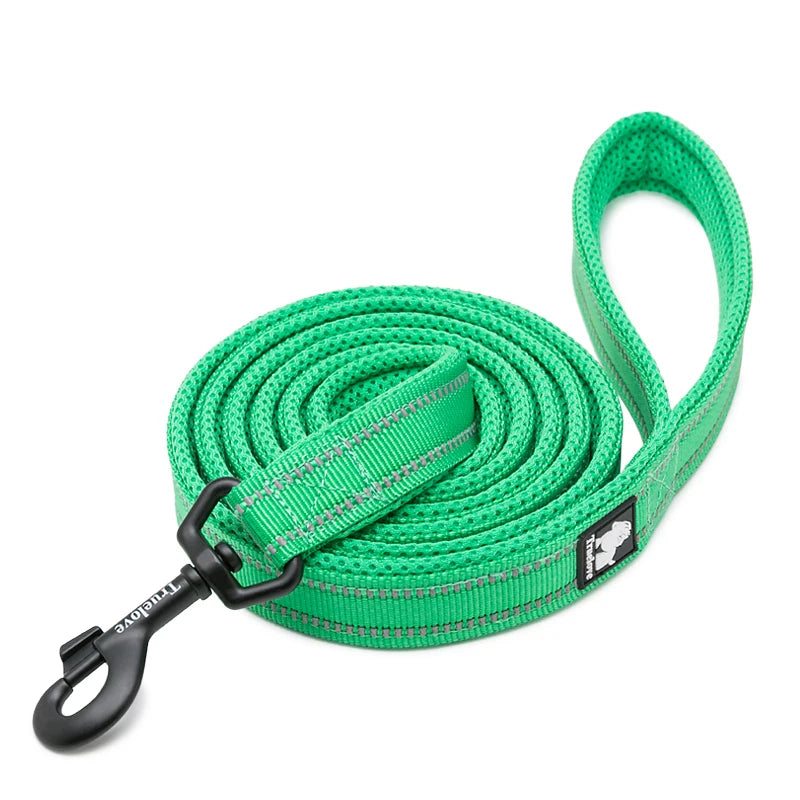 Winhyepet Padded Reflective Nylon Dog Leash for Training and Walking