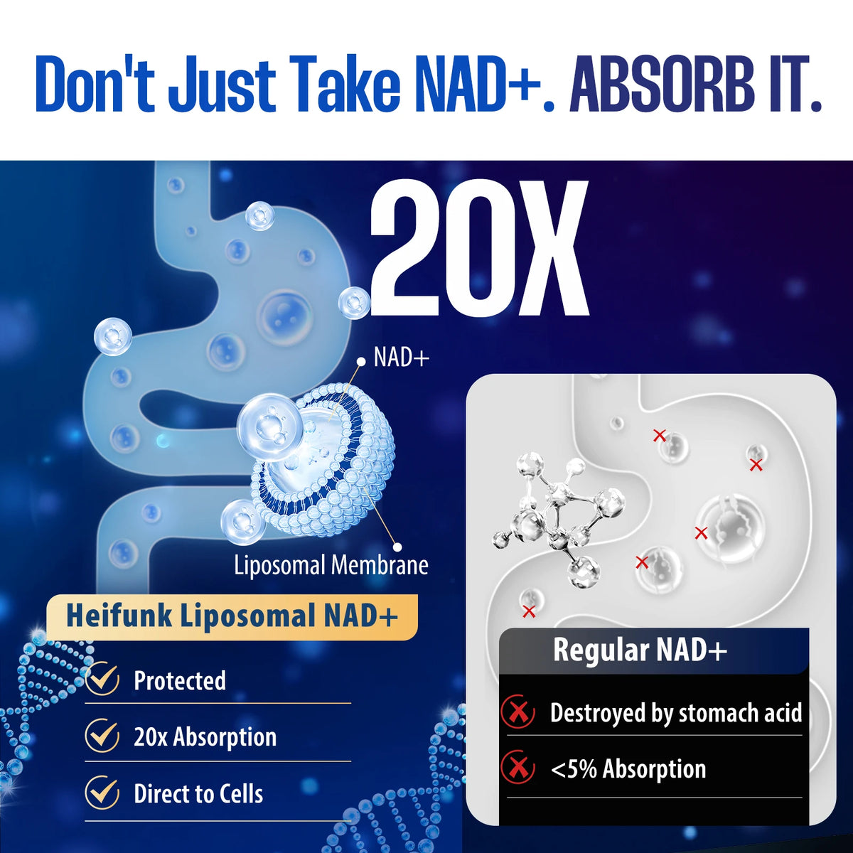 Biyode NAD Plus Supplement for Energy and Cellular Support