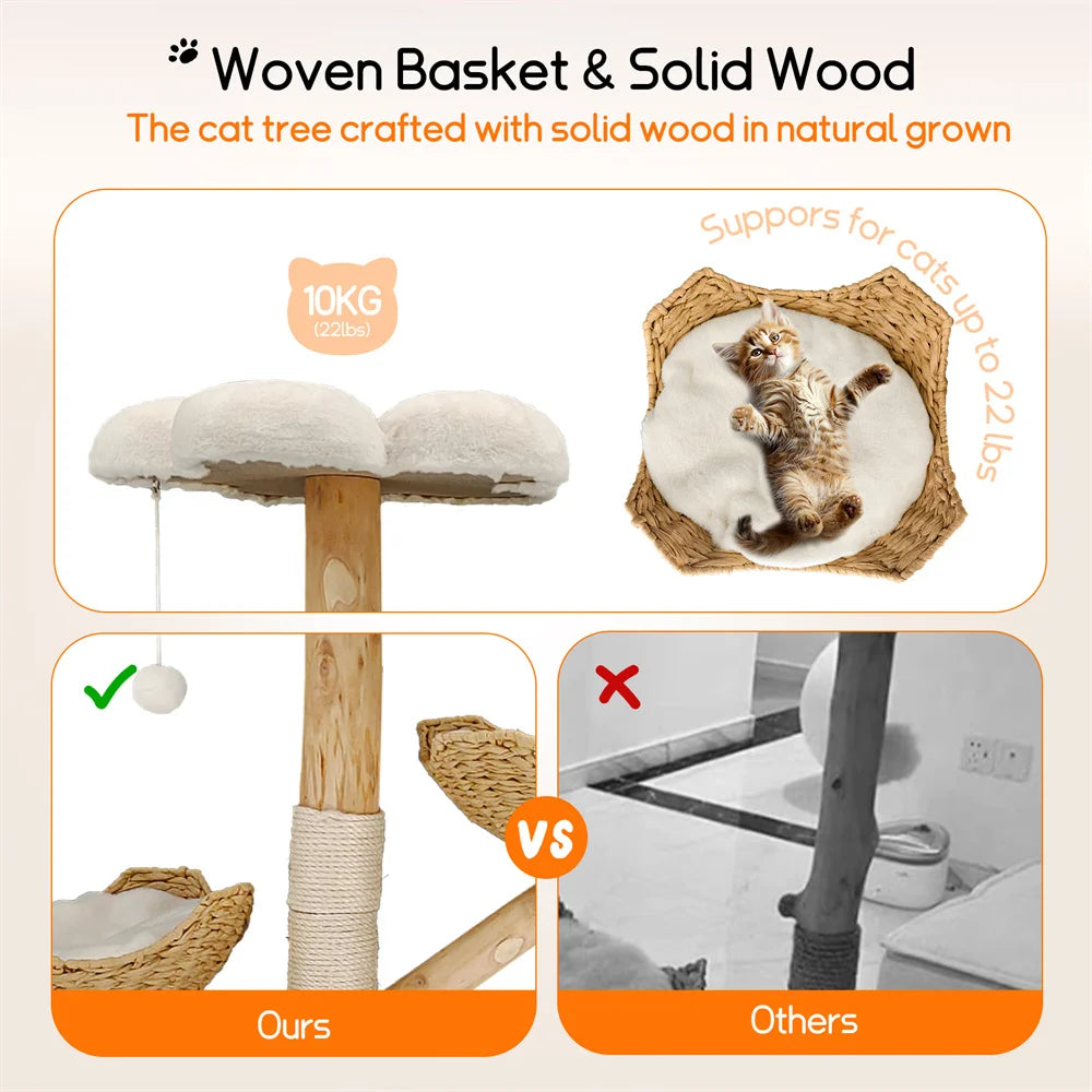 Borwart Wooden Cat Tree With Sisal Scratching Posts And Mats