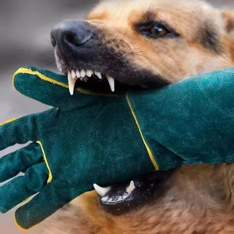 Leather Anti Bite Safety Gloves For Pet And Reptile Handling