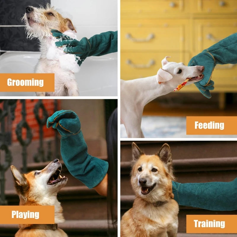 Leather Anti Bite Safety Gloves For Pet And Reptile Handling