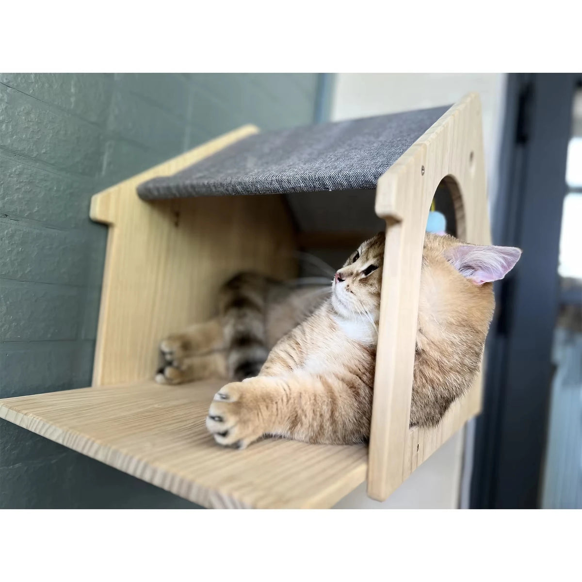 Wall Mounted Wooden Cat Villa Climbing Shelf For Indoor Pets