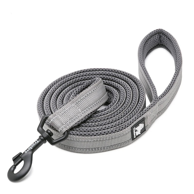Winhyepet Padded Reflective Nylon Dog Leash for Training and Walking