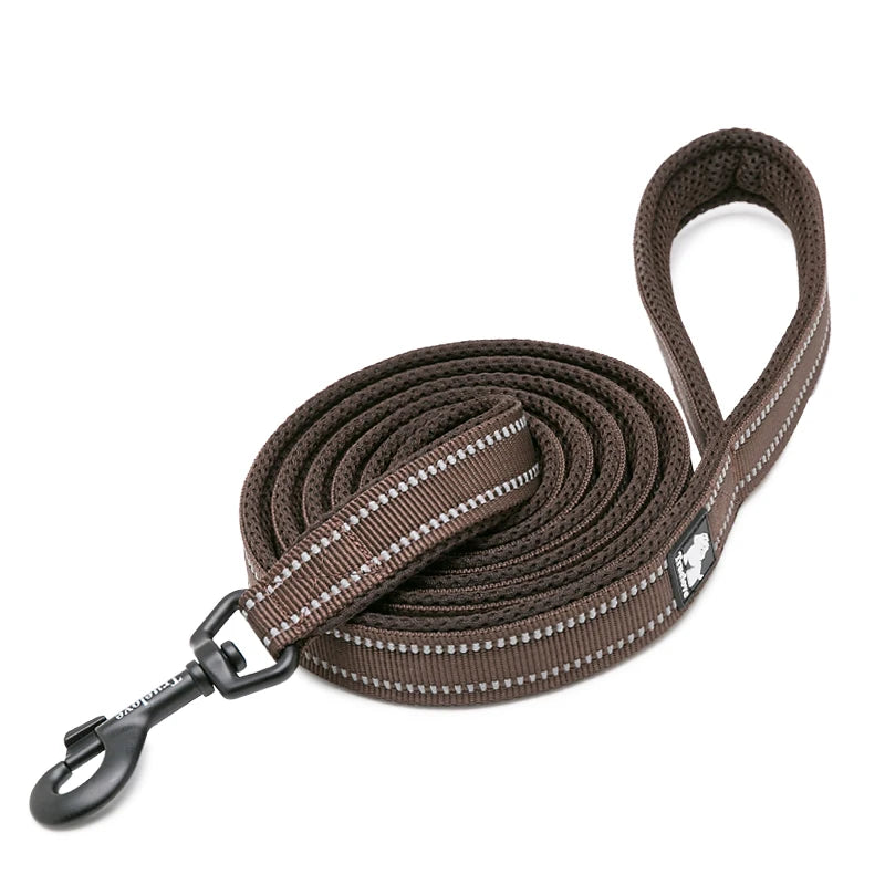 Winhyepet Padded Reflective Nylon Dog Leash for Training and Walking