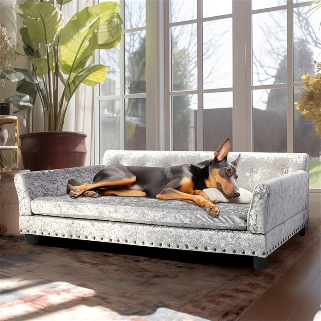 Borwart Premium Raised Pet Sofa Bed For Dogs And Cats