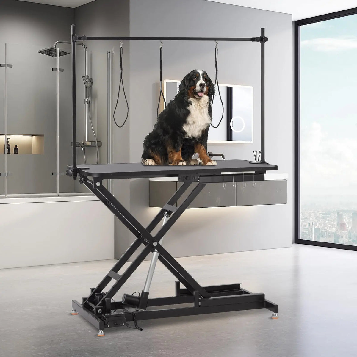 Electric Height Adjustable Dog Grooming Table With Arm And Tool Organizer