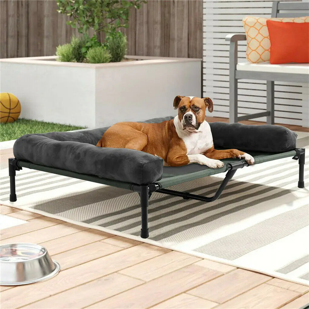 Bingopaw Elevated Cooling Dog Bed With Detachable Plush Bolster