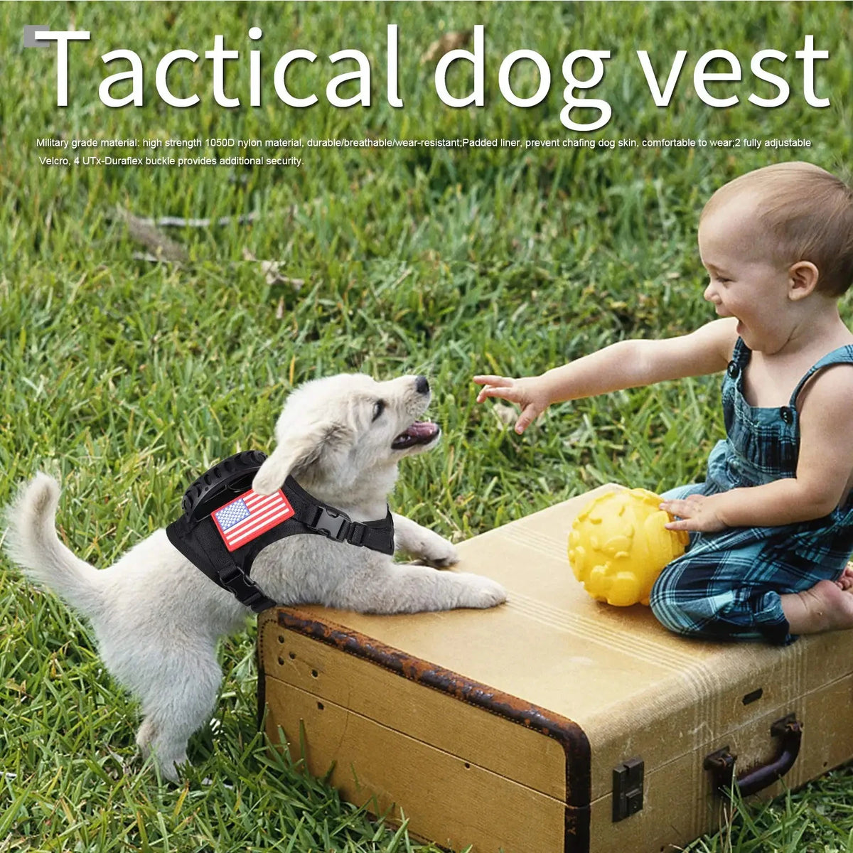 Adjustable Tactical Harness And Leash Set For Small Dogs
