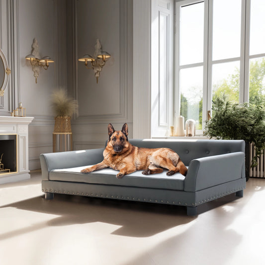 BINGOPAW Waterproof Leather Elevated Dog Sofa Bed For Indoor Pets