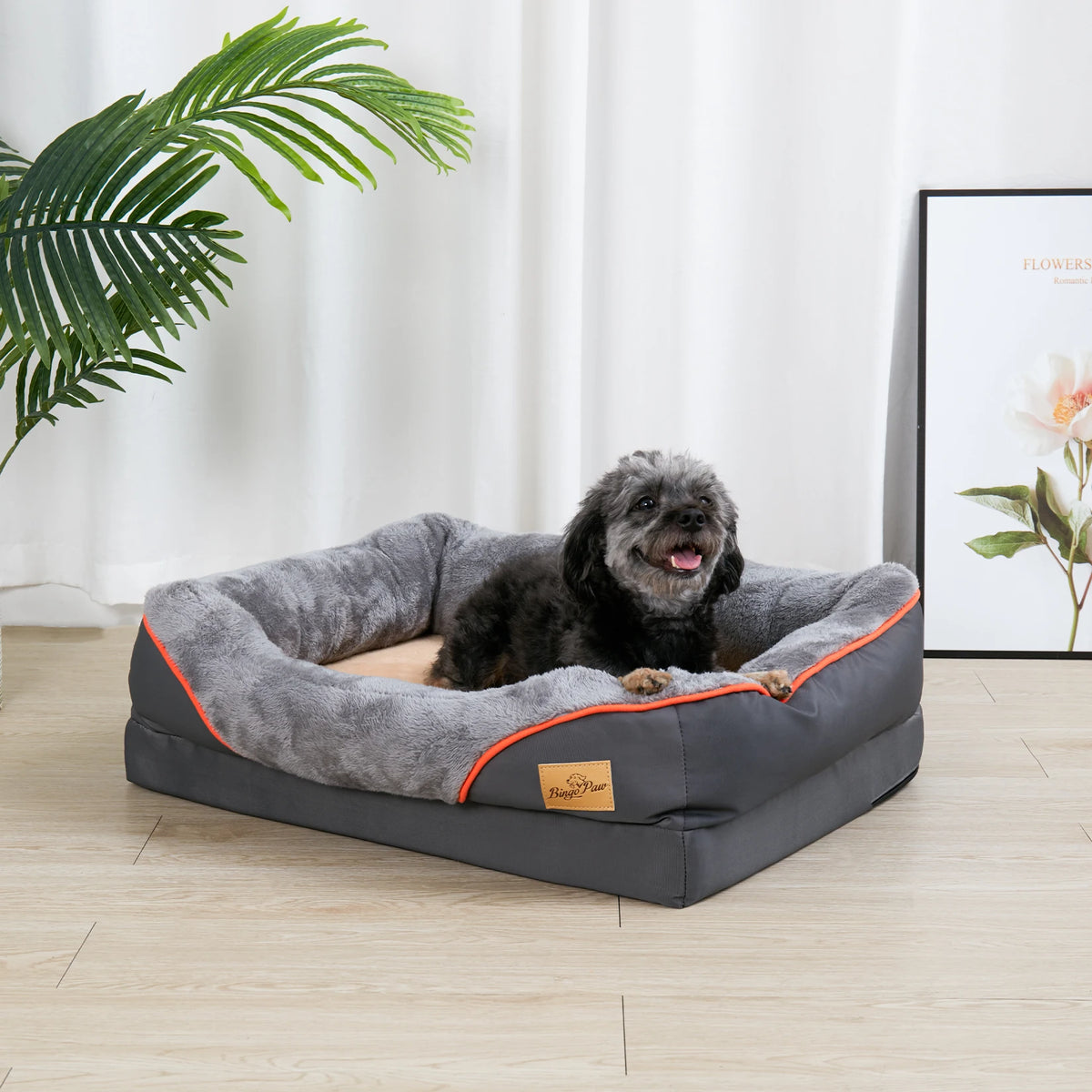 Bingopaw Orthopedic Dog Bed With Cotton Bolster And Removable Cover