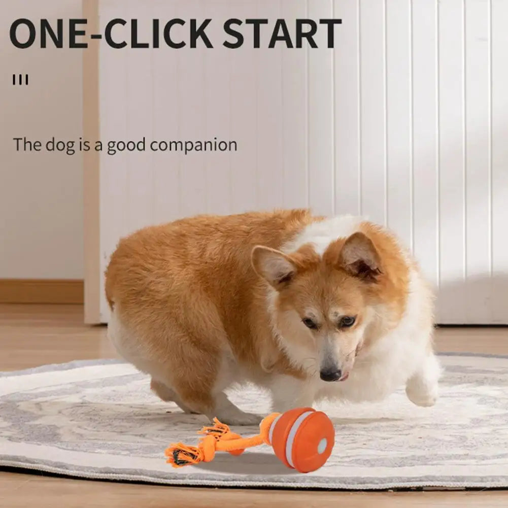Interactive Motion Activated Dog Ball Toy USB Rechargeable
