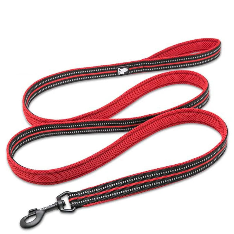 Winhyepet Padded Reflective Nylon Dog Leash for Training and Walking
