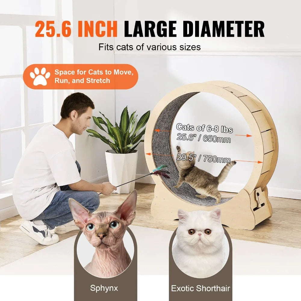 Wooden Cat Exercise Wheel For Indoor Pets Featuring Silent Running