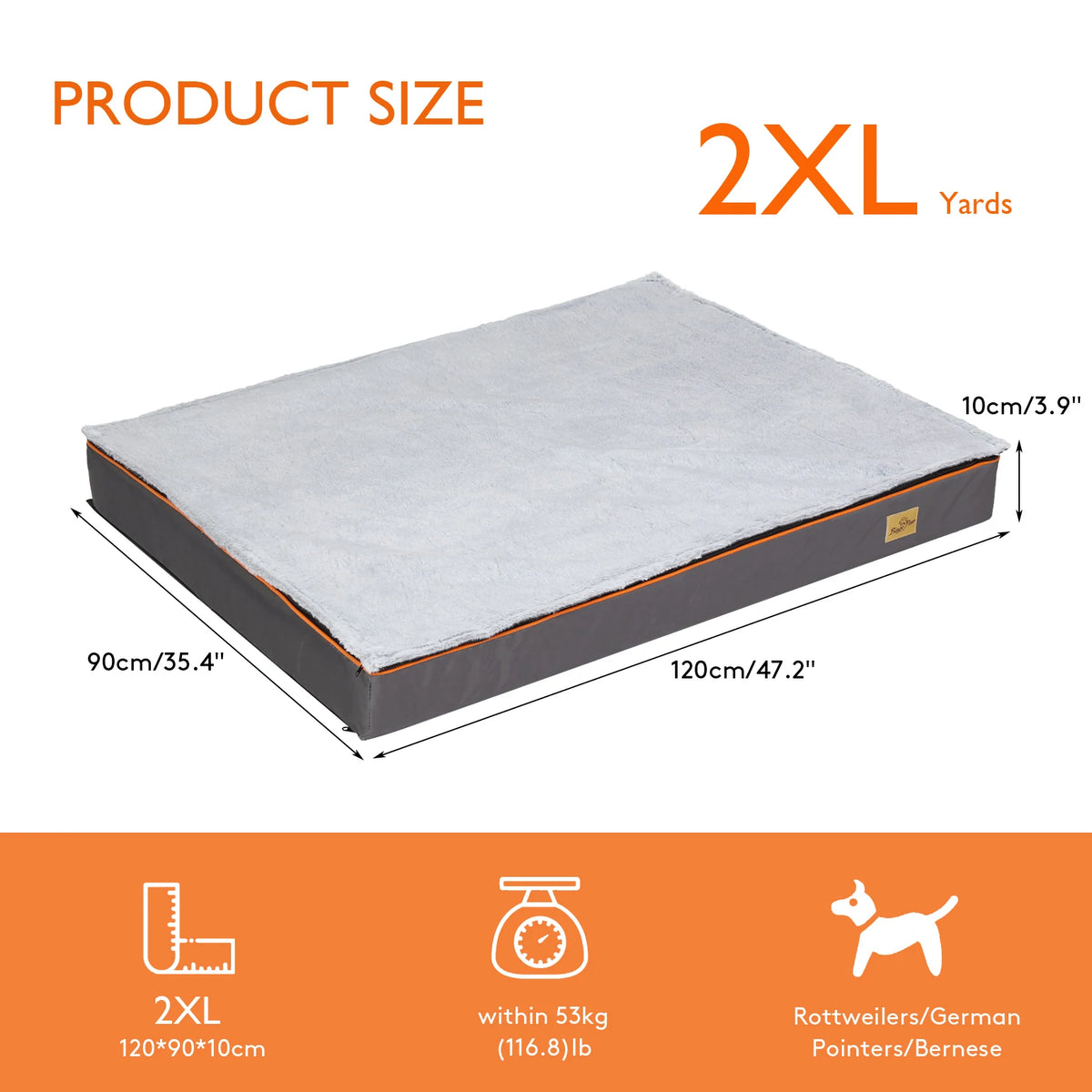 BINGOPAW Orthopedic Padded Dog Bed With Washable Cover Foam Cushion